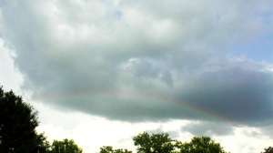 Evening rainbow after sudden summer downpour