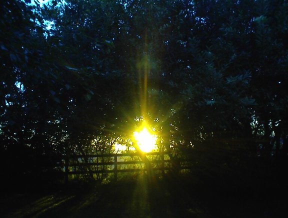 Sun setting beyond backyard